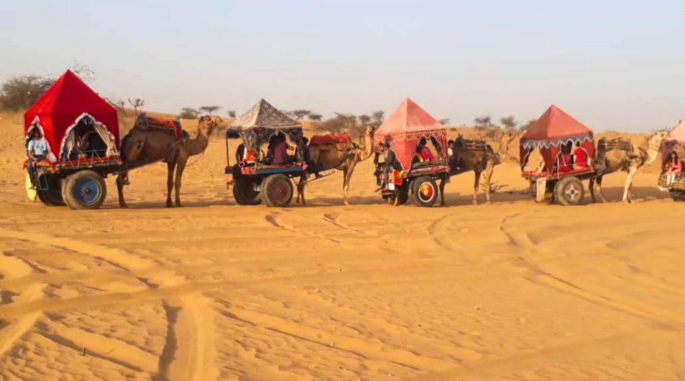 Camel Cart Safari Sand Duens