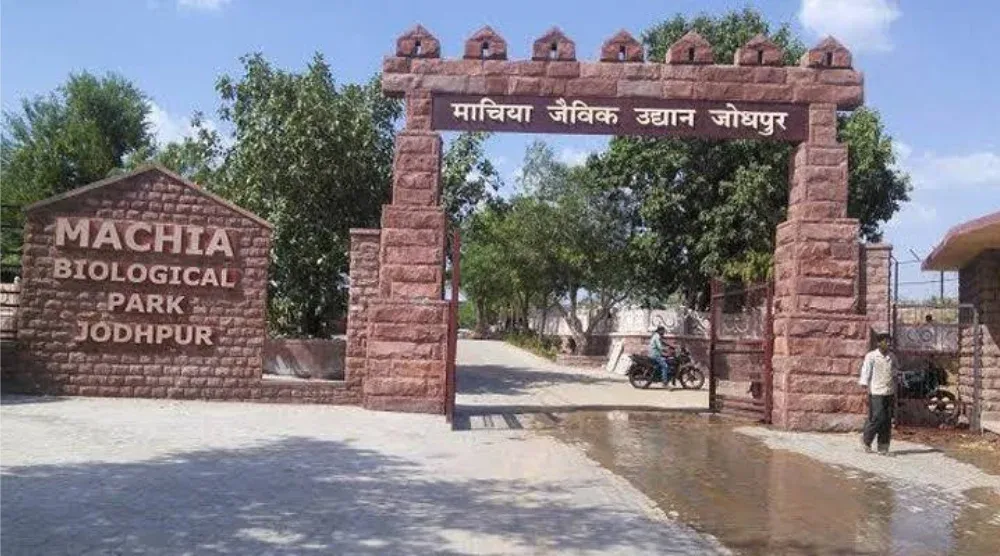 machia biological park jodhpur