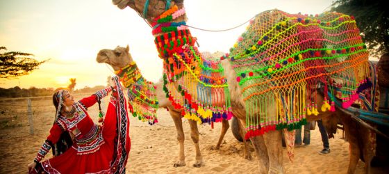 Rajasthan Tour Image